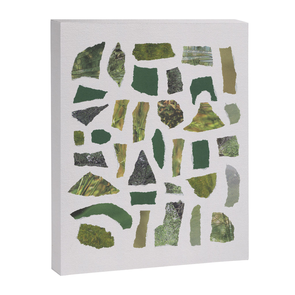 Shades of Green Canvas Print Gallery Image 6