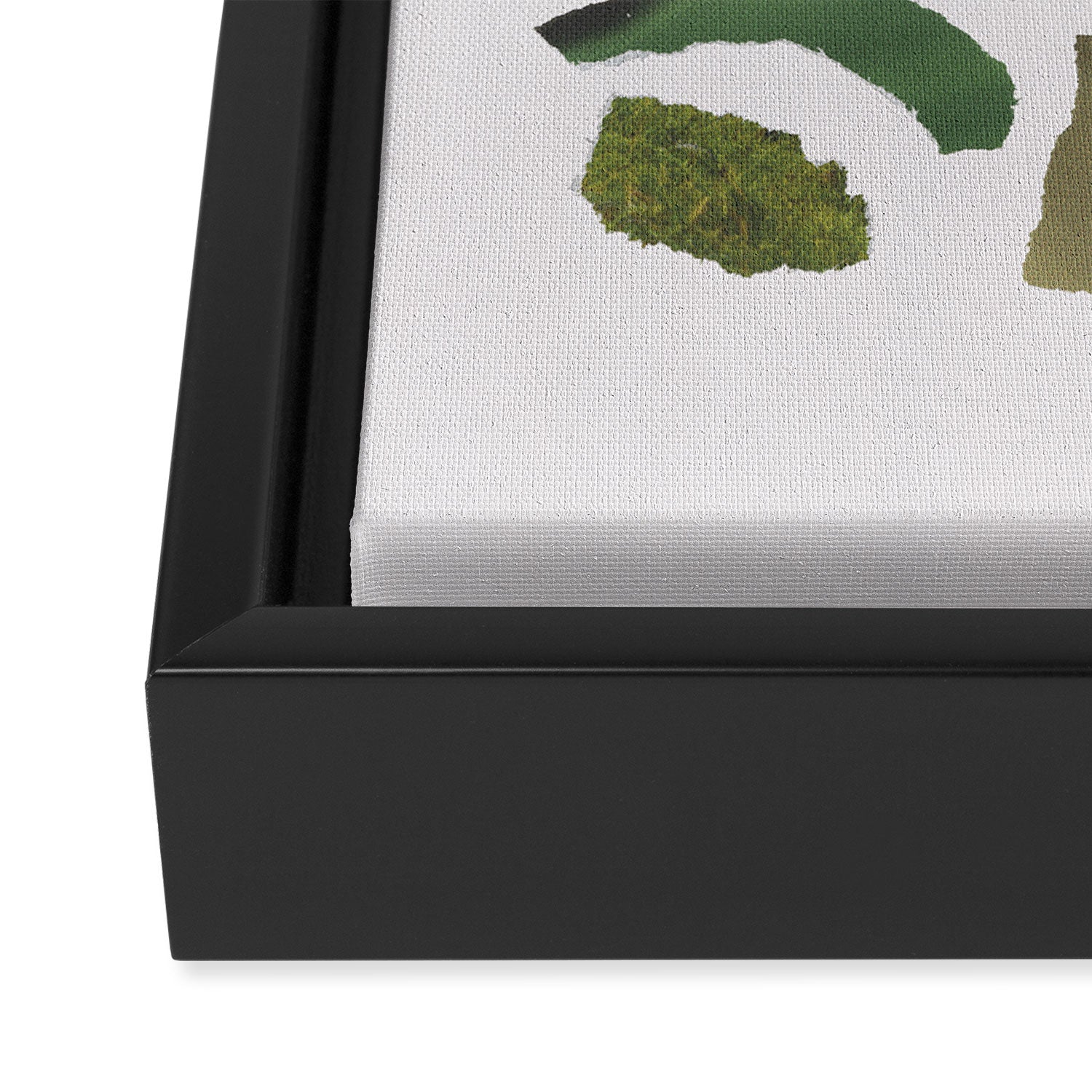 Shades of Green Framed Canvas Print Gallery Image 3