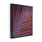 Shadows of Summer II Framed Canvas Print Gallery Image 2
