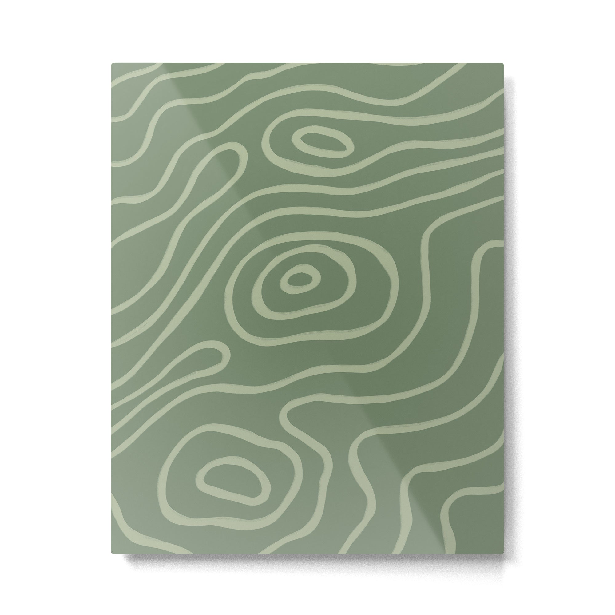 Topographic Map / Grayish Green Metal Print Gallery Image 6