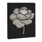 White Peony Canvas Print Gallery Image 6