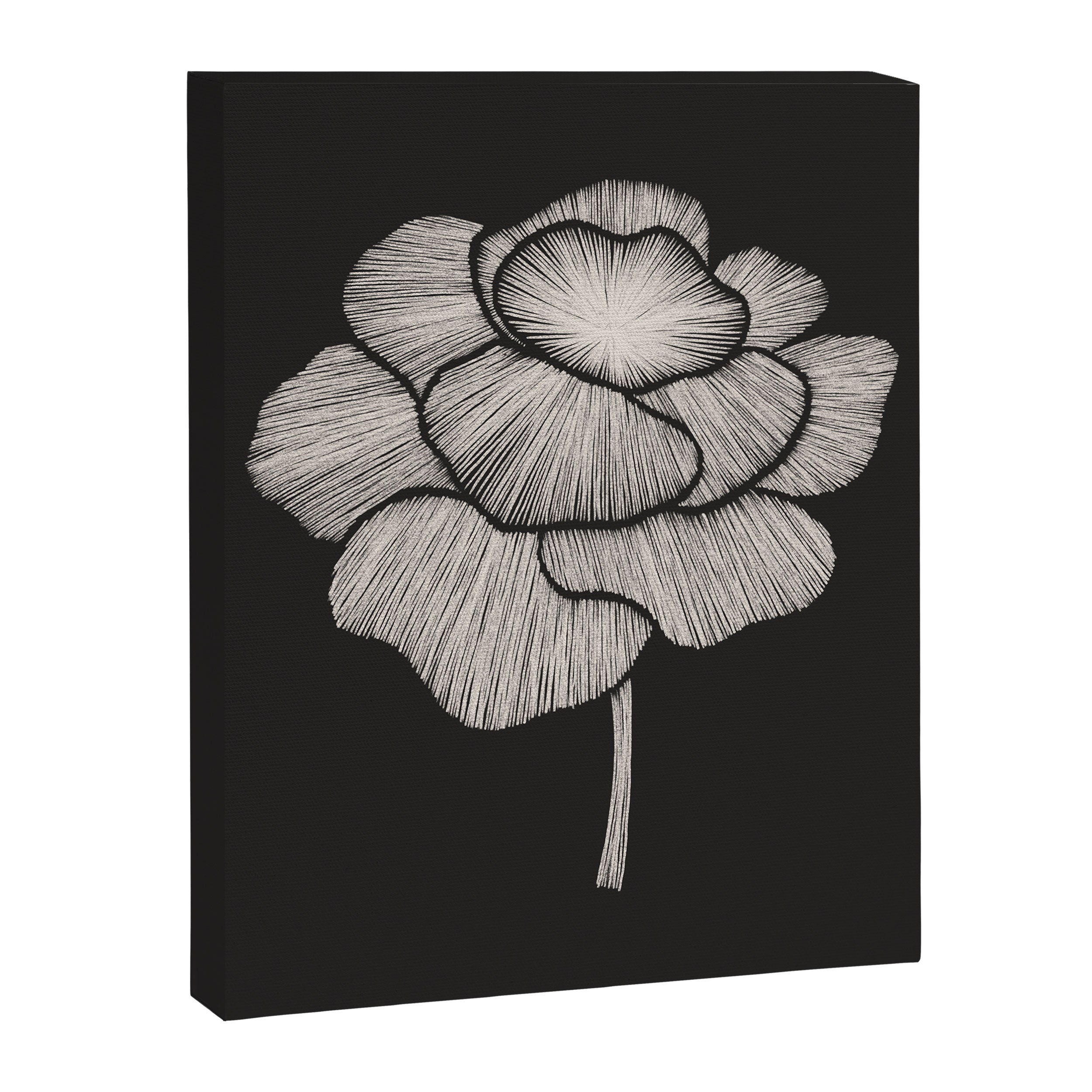 White Peony Canvas Print Gallery Image 6