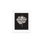 White Peony Art Print Gallery Image 1