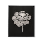 White Peony Framed Canvas Print Gallery Image 6