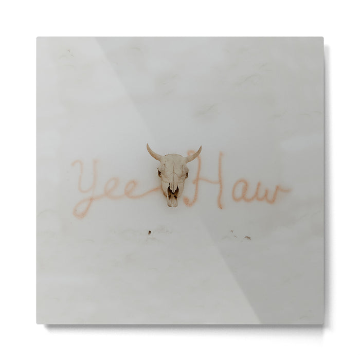 Yee Haw Cow Skull Metal Print Gallery Image 1