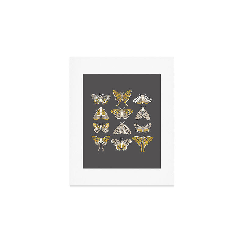 Moths Art Print Gallery Image 1