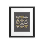 Moths Framed Art Print Gallery Image 6