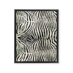 Zebra Print Framed Canvas Print Gallery Image 8