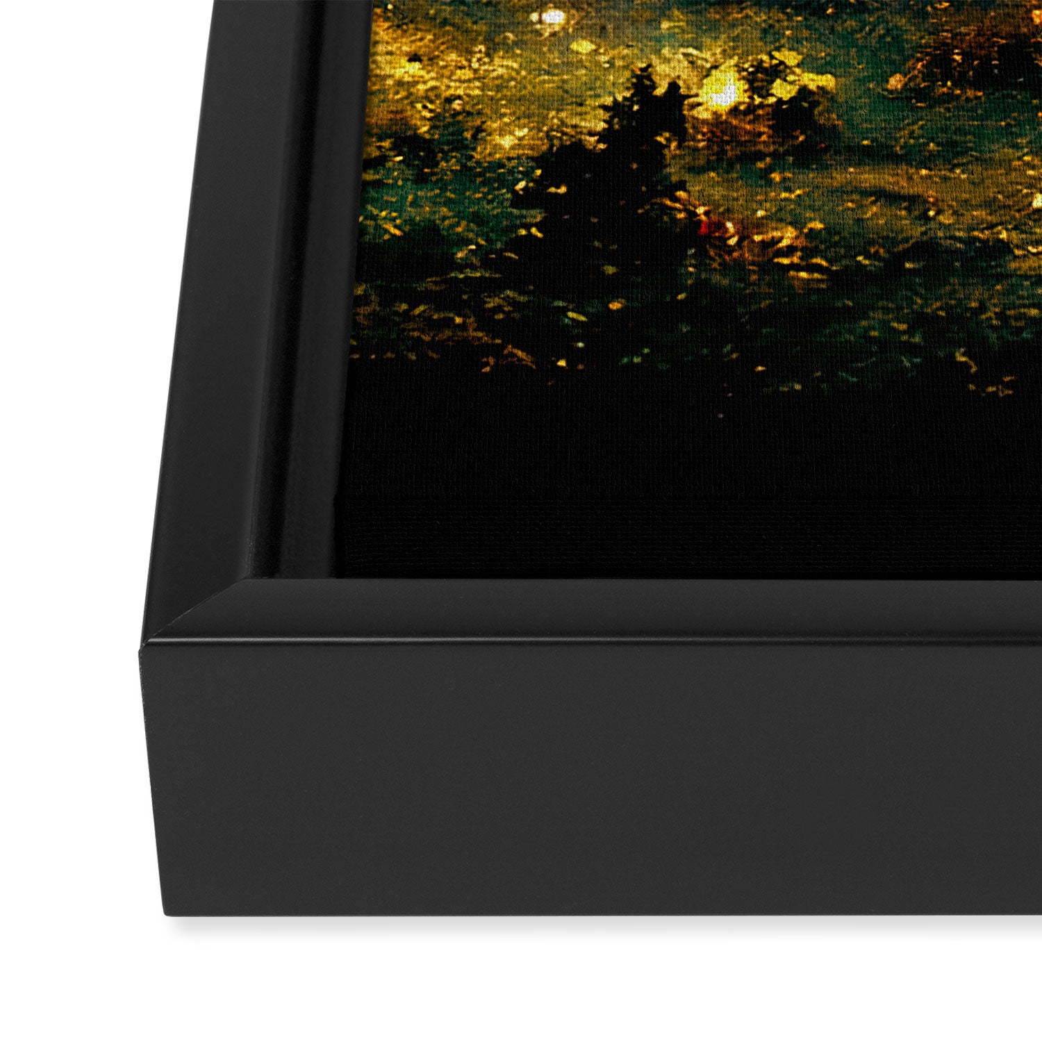 Walking through the fairy forest Framed Canvas Print Gallery Image 3