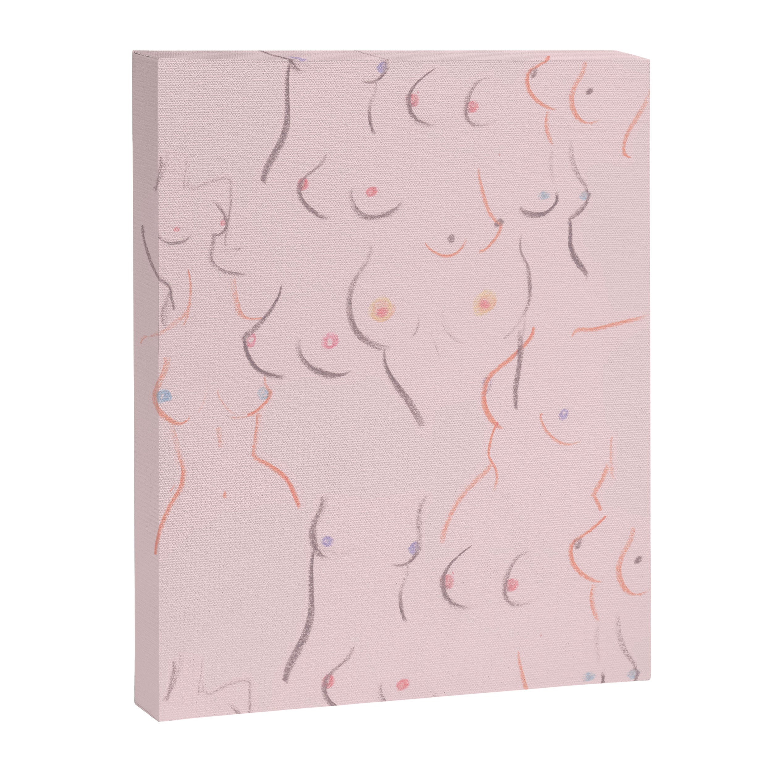Breasts in Millennial Pink Canvas Print Gallery Image 6