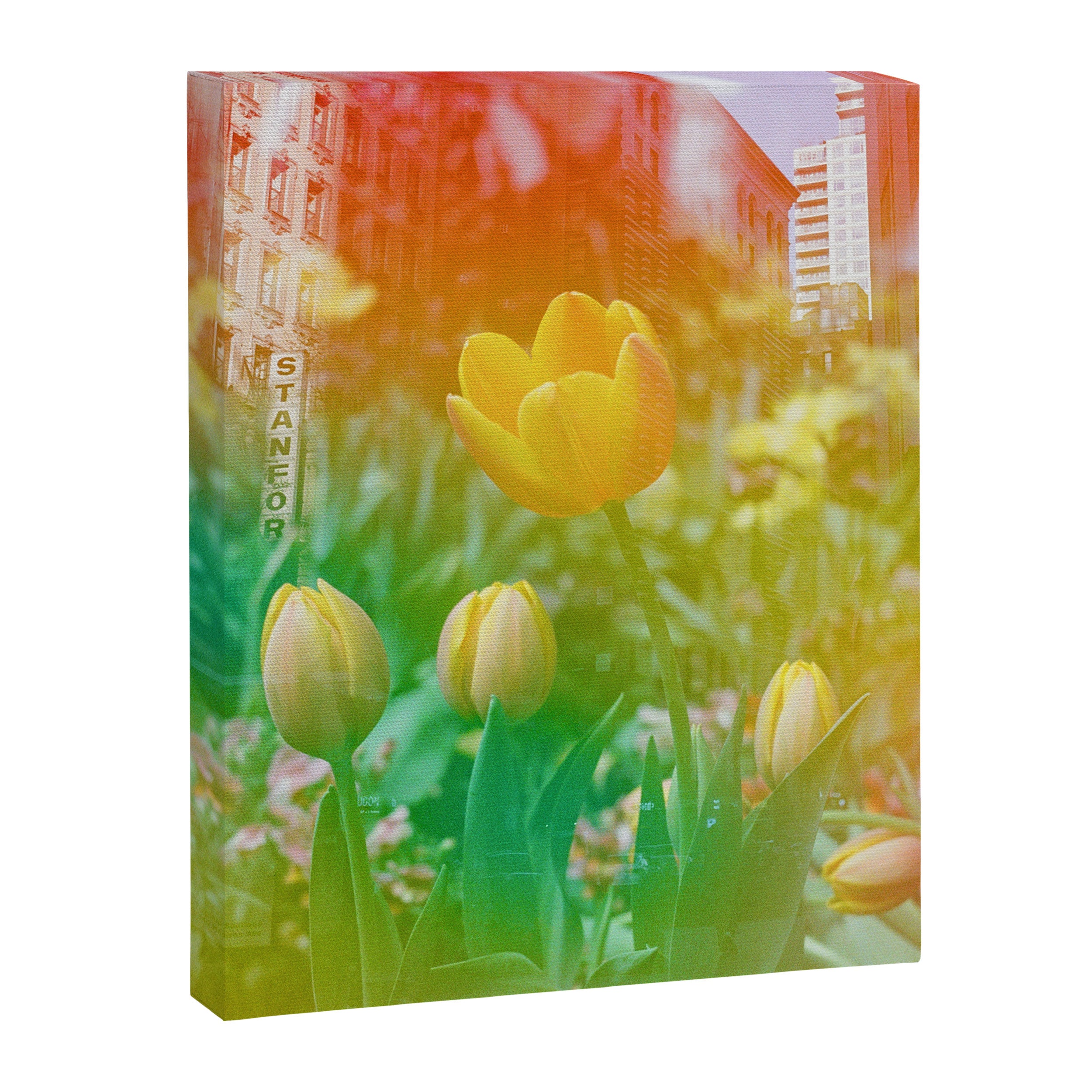 Center of the Universe  Canvas Print Gallery Image 6