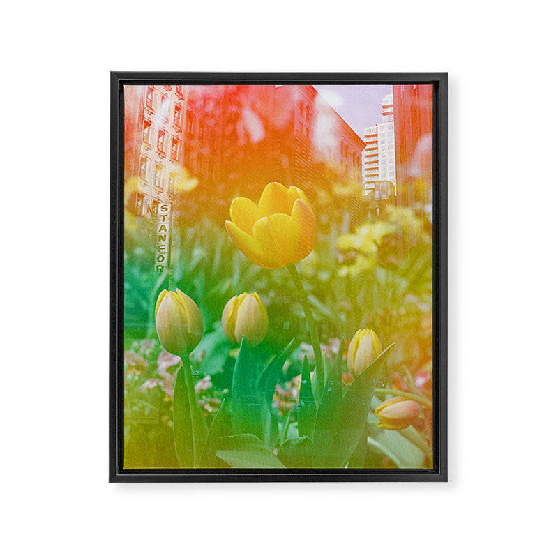 Center of the Universe  Framed Canvas Print Gallery Image 6