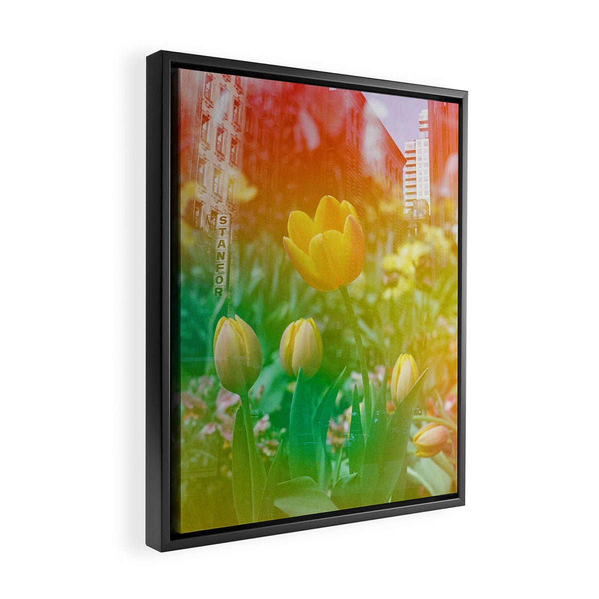 Center of the Universe  Framed Canvas Print Gallery Image 2