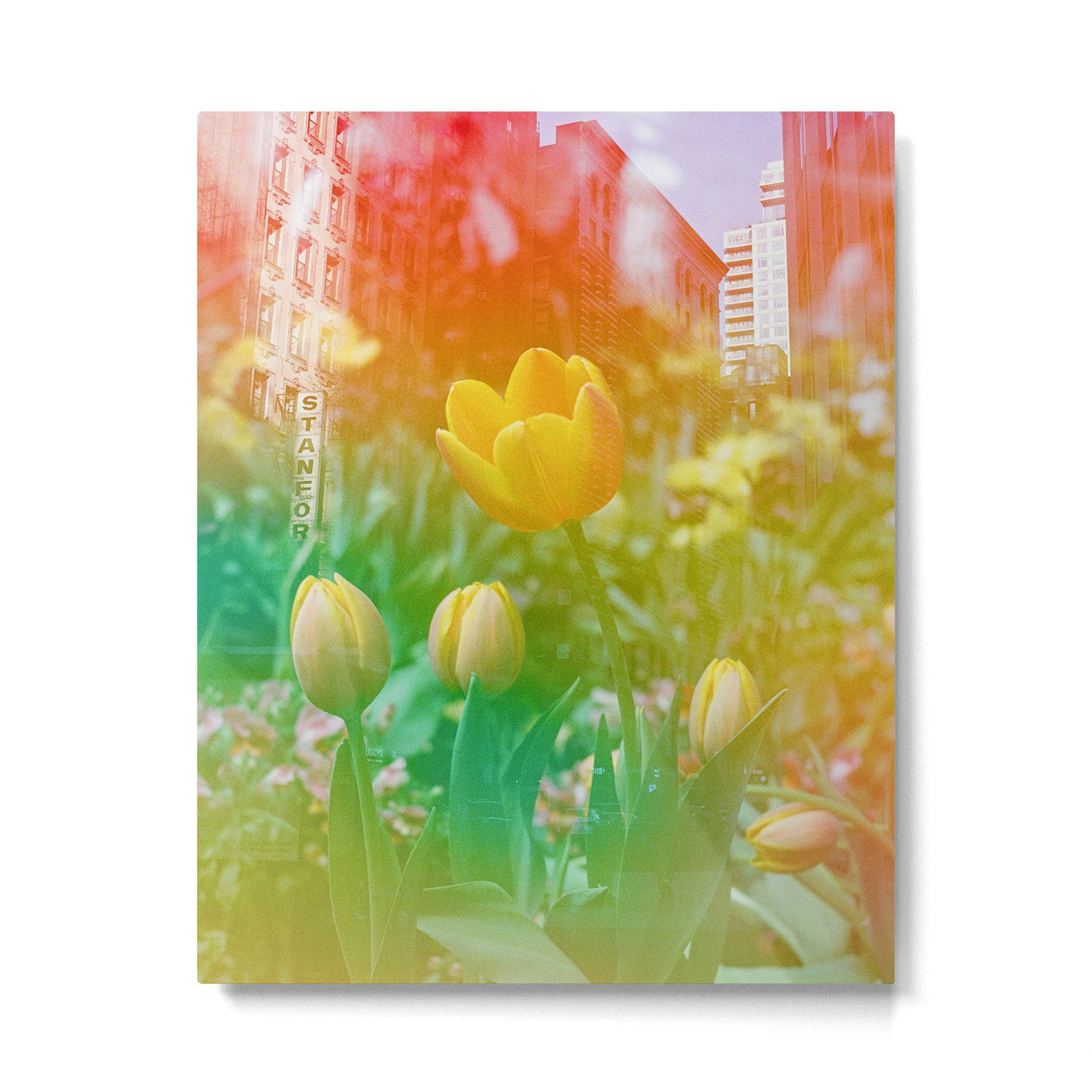 Center of the Universe  Metal Print Gallery Image 4