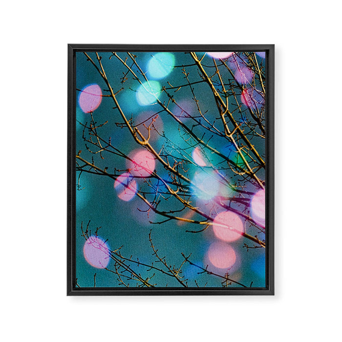 Contradiction Framed Canvas Print Gallery Image 1