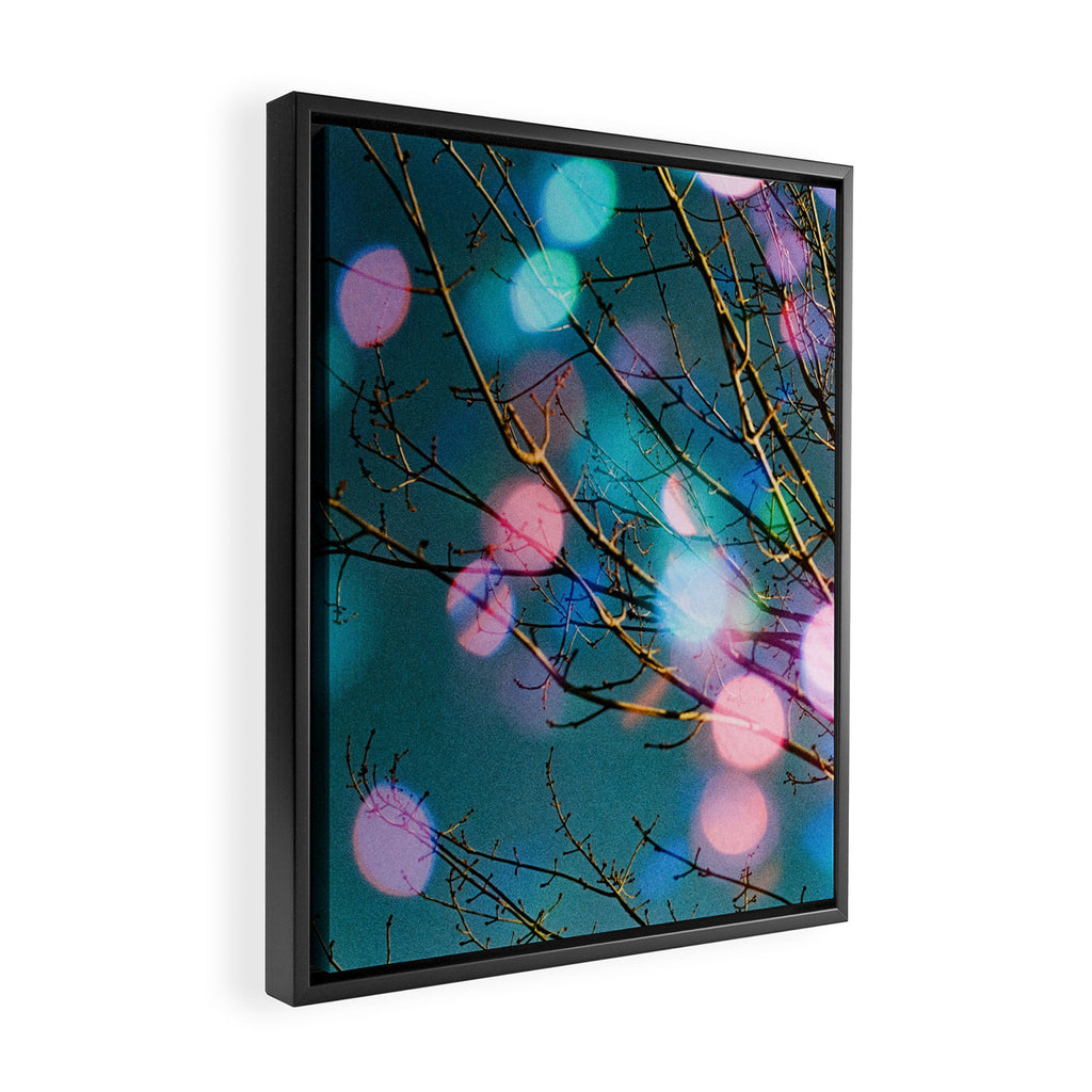 Contradiction Framed Canvas Print Gallery Image 2