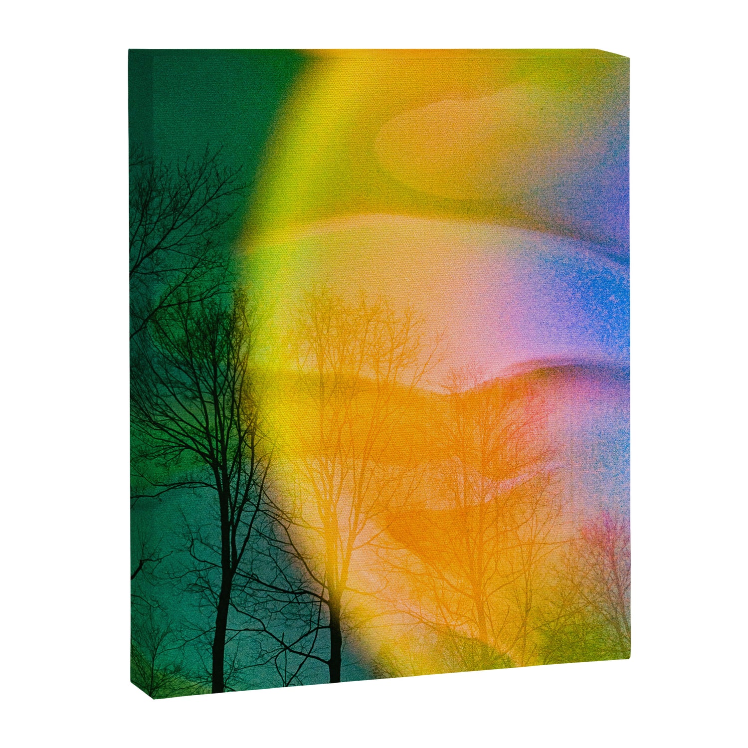 Euphoric Canvas Print Gallery Image 3