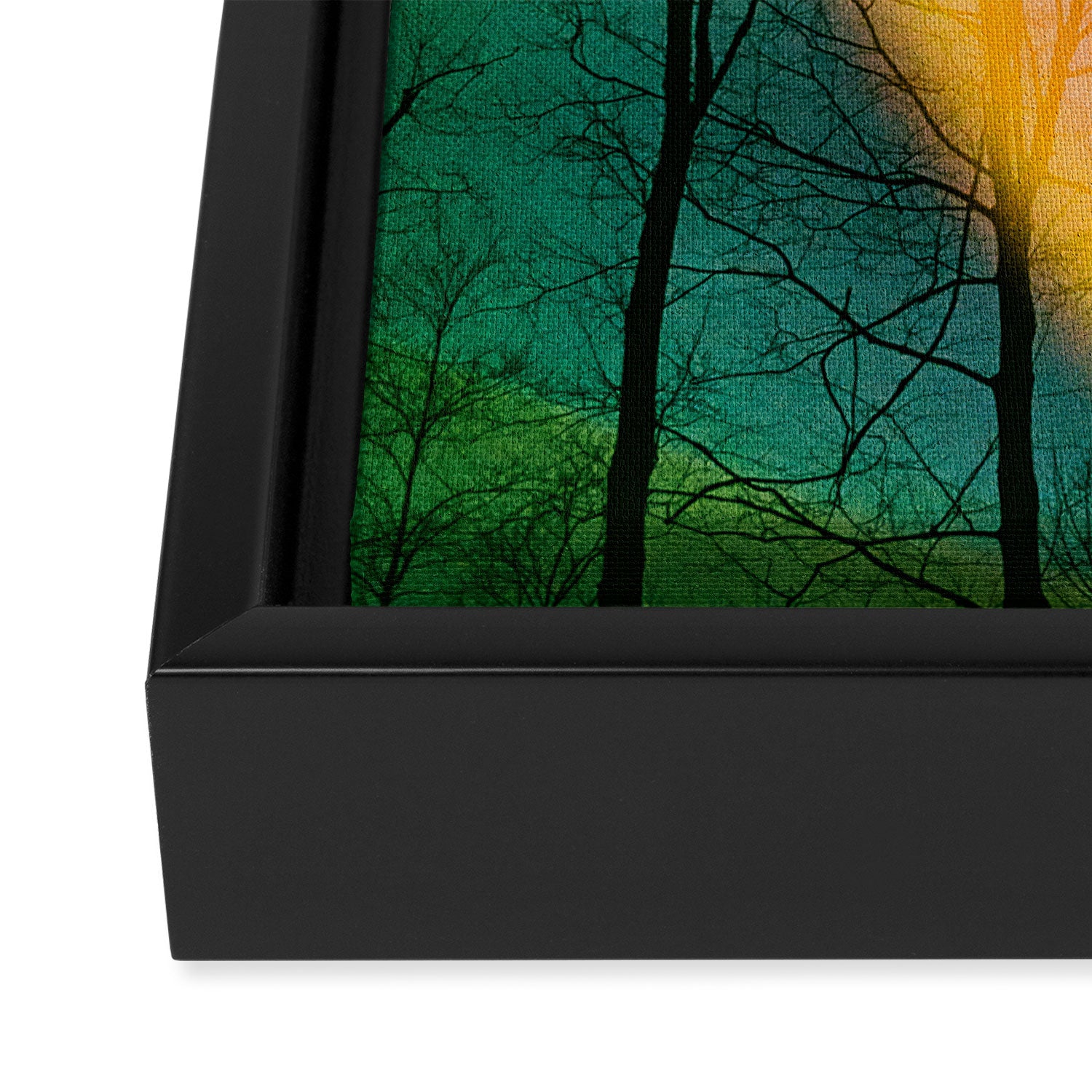 Euphoric Framed Canvas Print Gallery Image 3