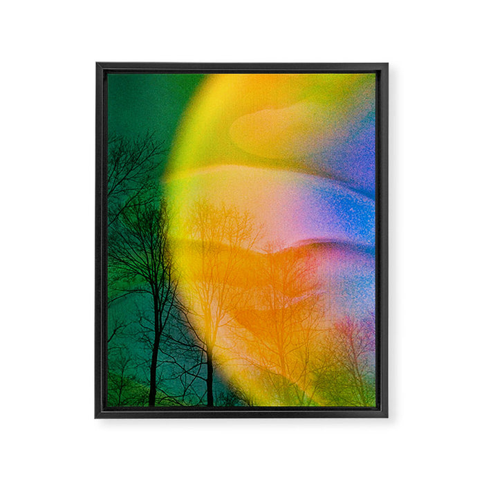 Euphoric Framed Canvas Print Gallery Image 1