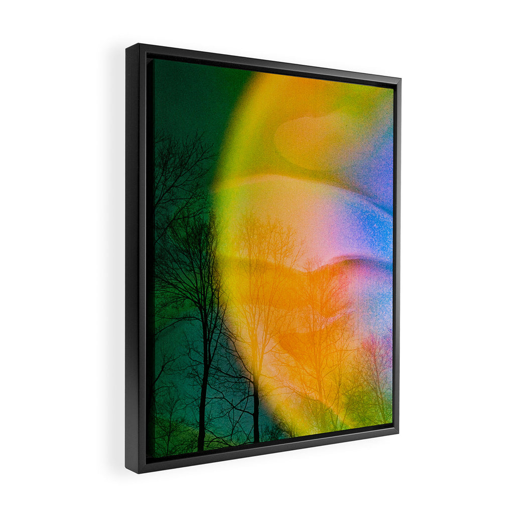 Euphoric Framed Canvas Print Gallery Image 2