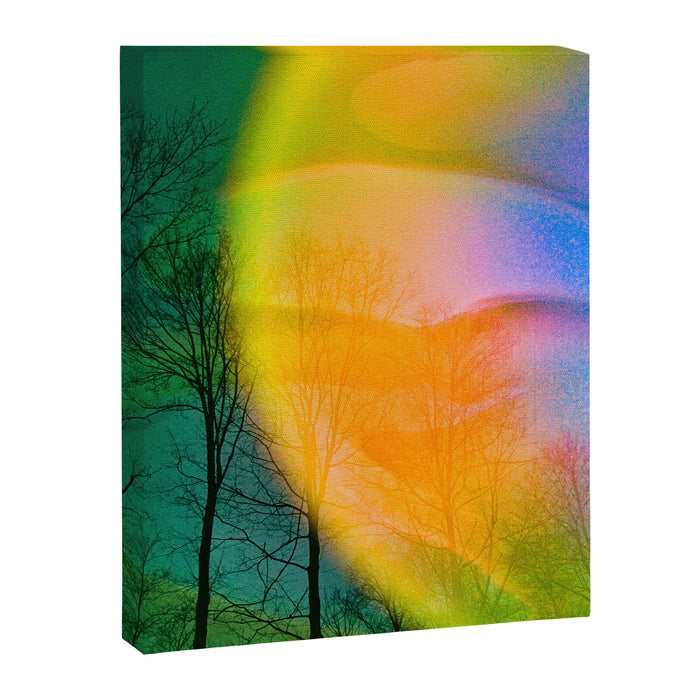 Euphoric Canvas Print Gallery Image 1