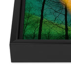 Euphoric Framed Canvas Print Gallery Image 3