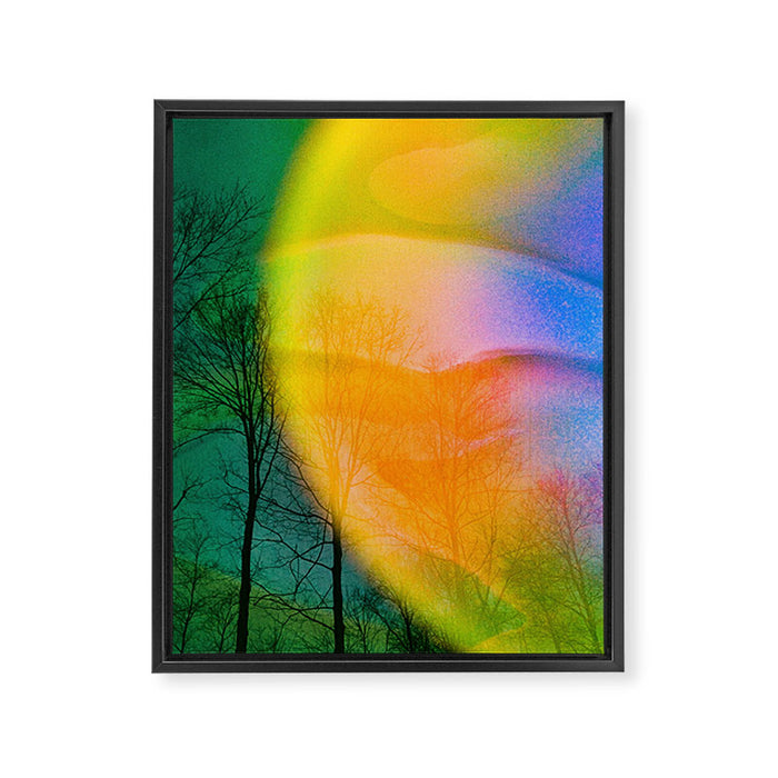 Euphoric Framed Canvas Print Gallery Image 1