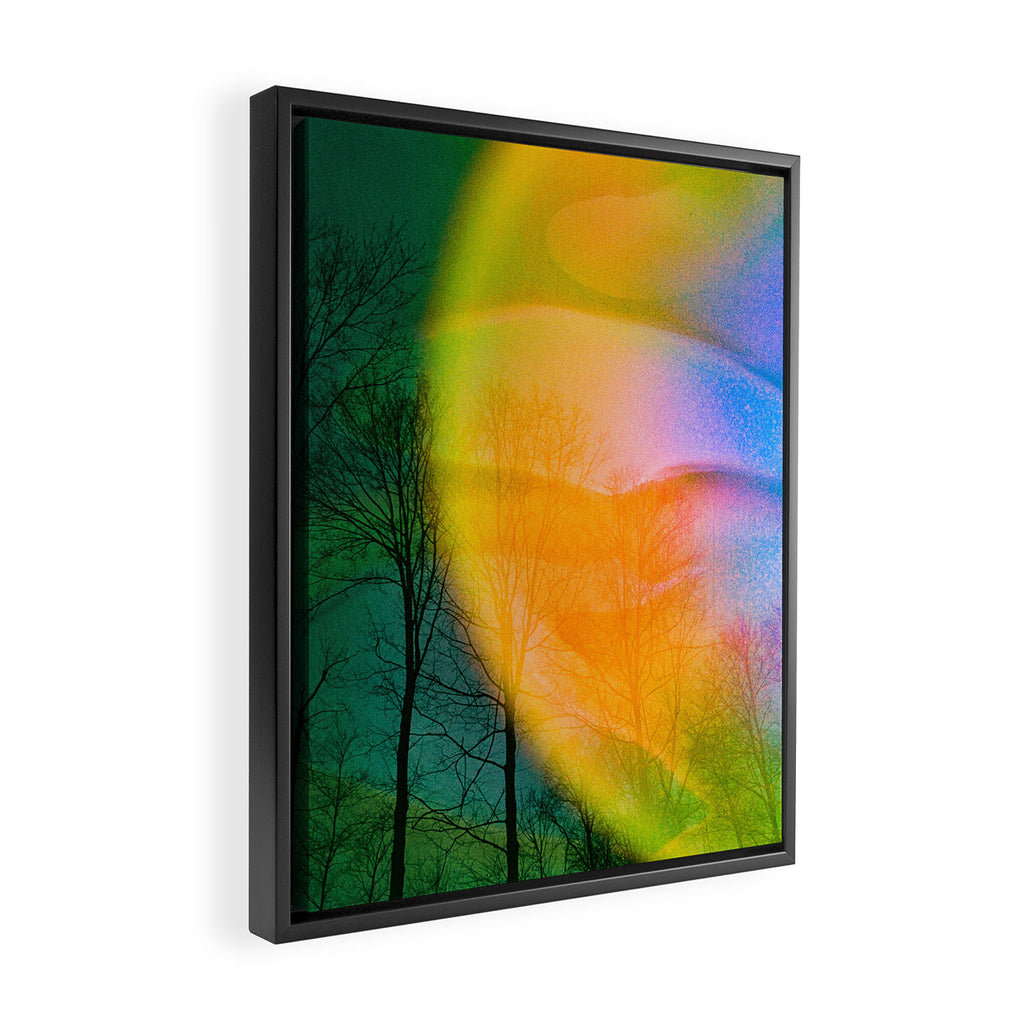 Euphoric Framed Canvas Print Gallery Image 2