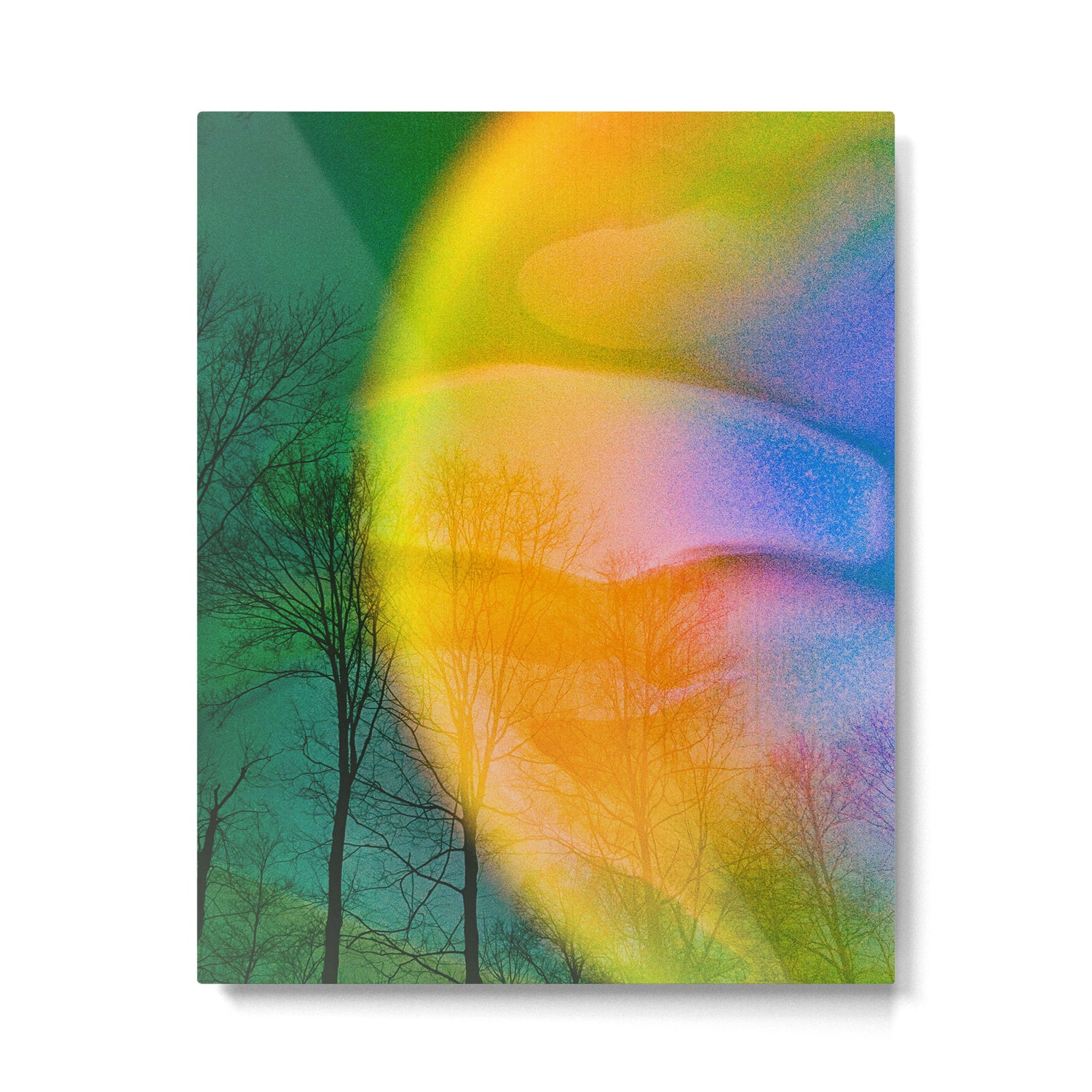 Euphoric Metal Print Gallery Image 4