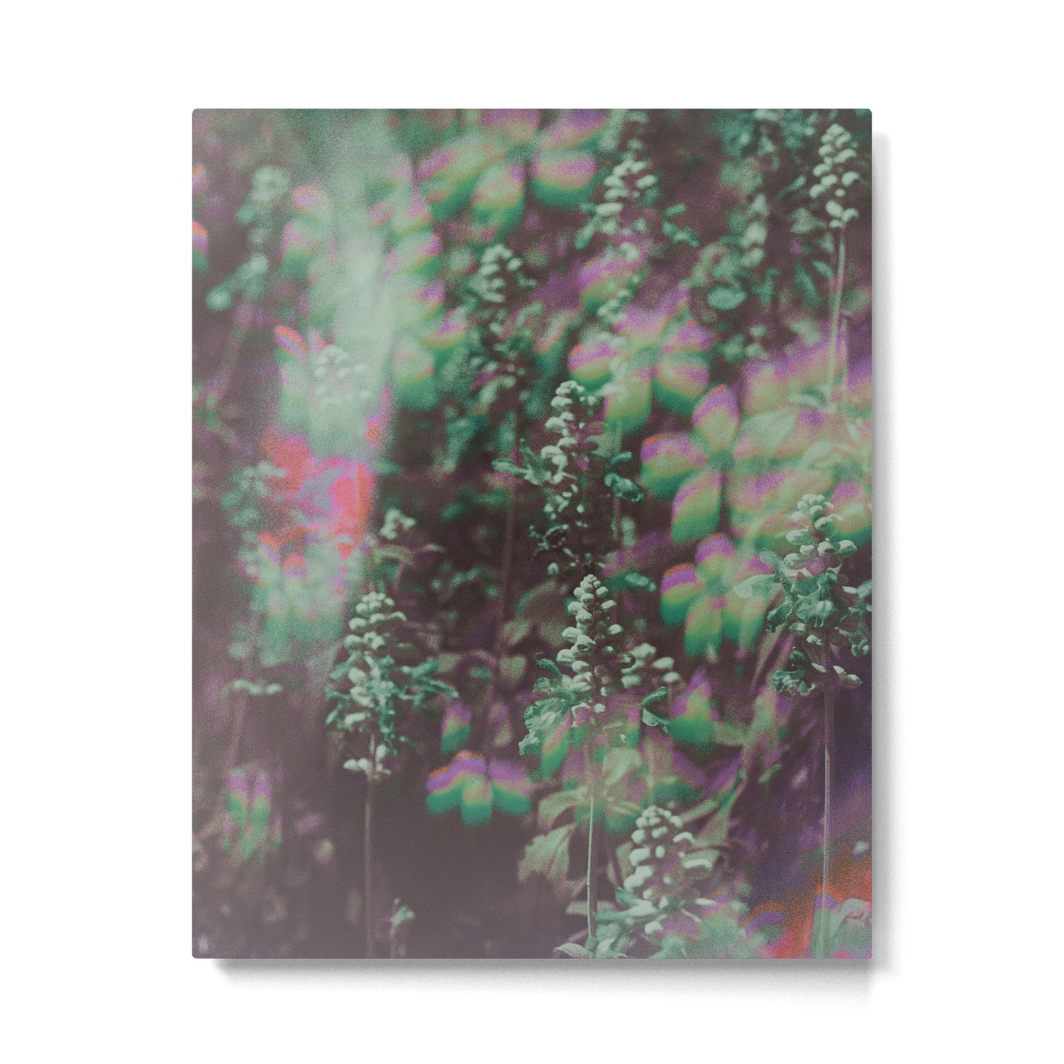 Look See Metal Print Gallery Image 4