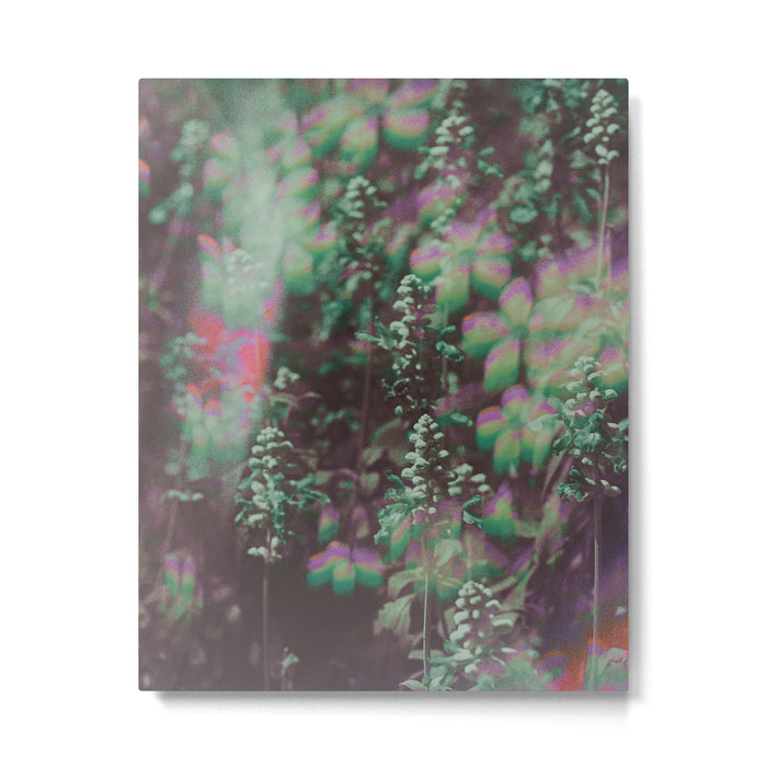 Look See Metal Print Gallery Image 1