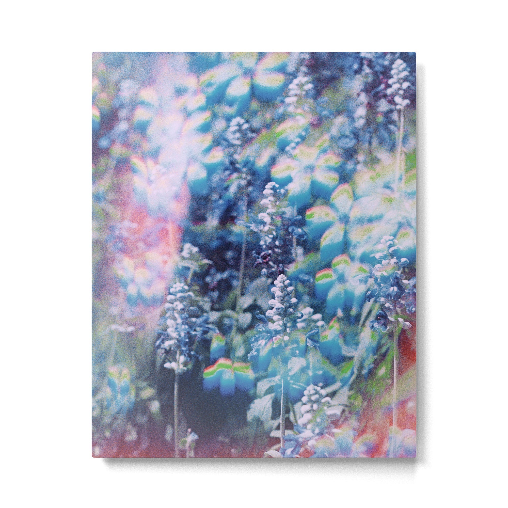 Look See Metal Print Gallery Image 4