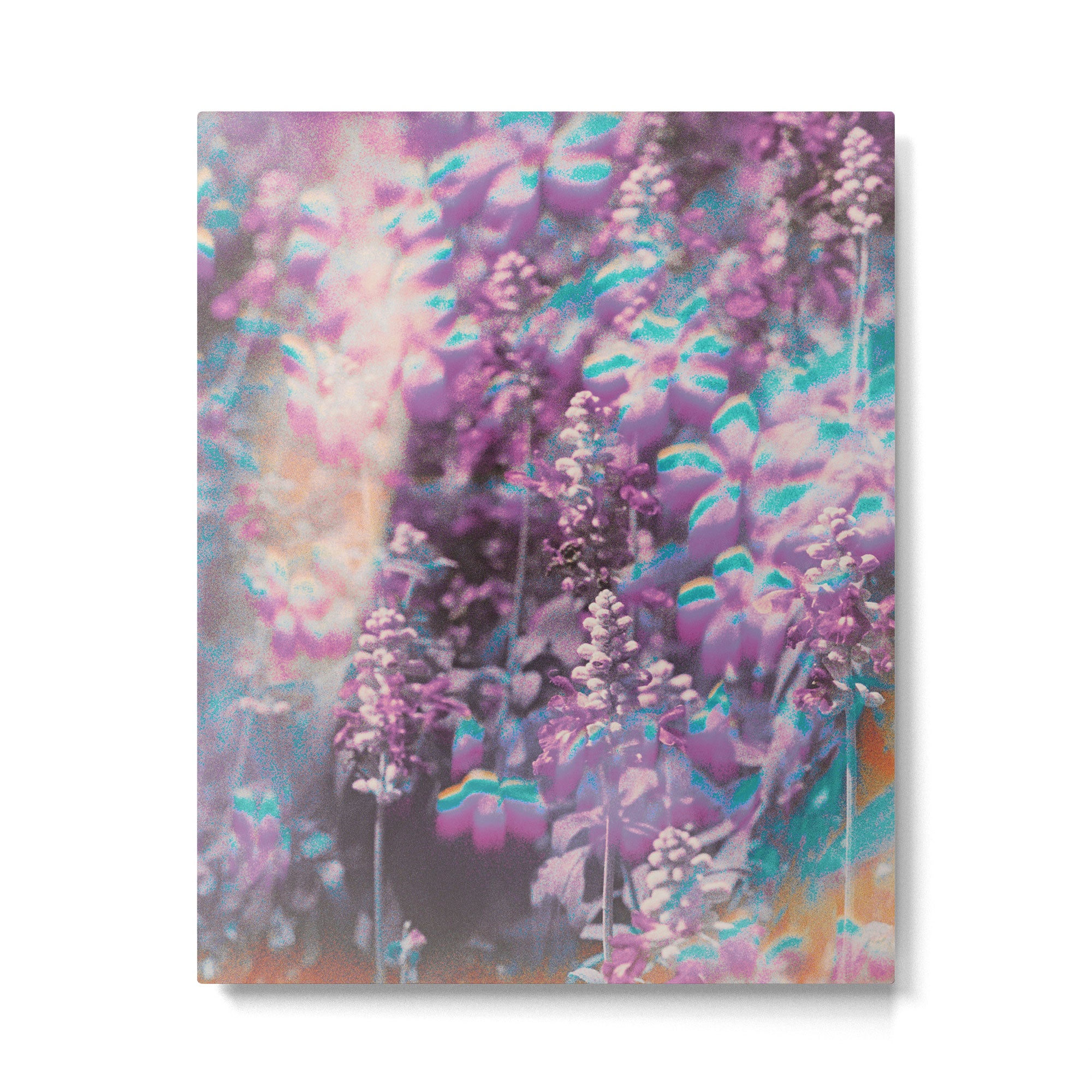 Look See Metal Print Gallery Image 4