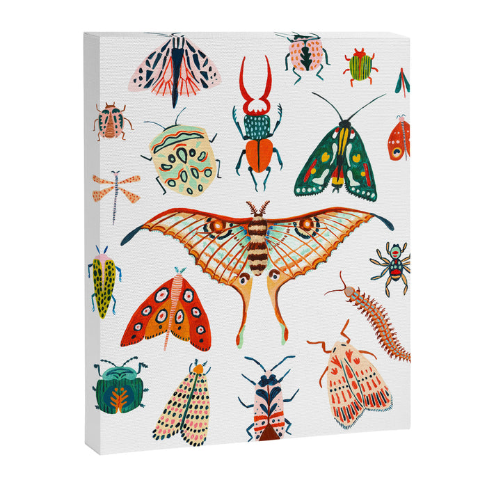 Beetles of the World Canvas Print Gallery Image 1