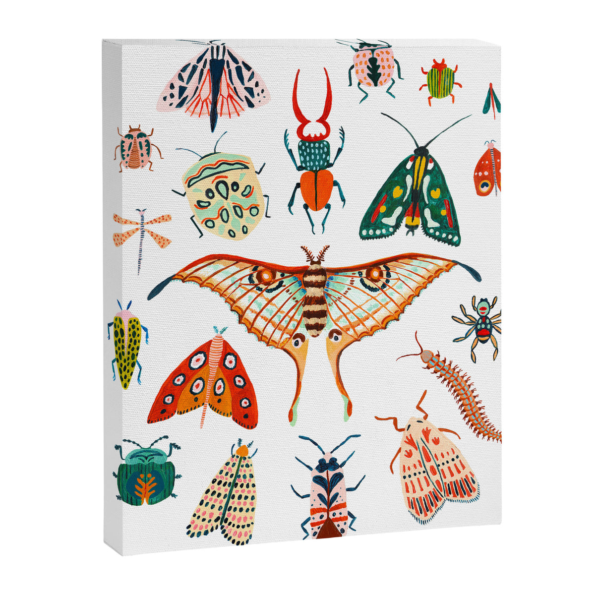 Beetles of the World Canvas Print Gallery Image 6
