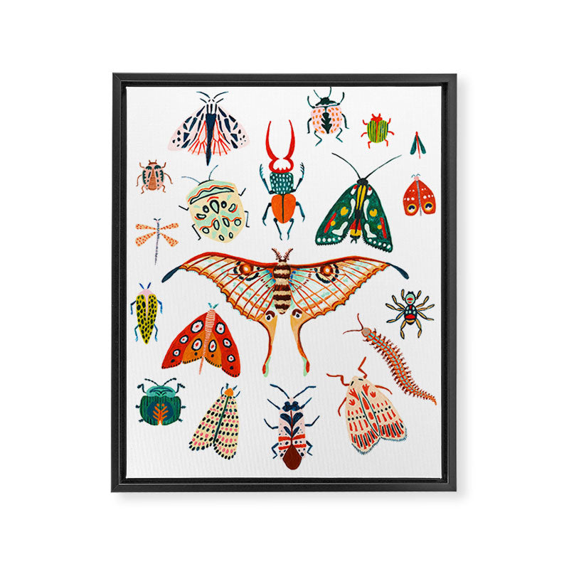 Beetles of the World Framed Canvas Print Gallery Image 6