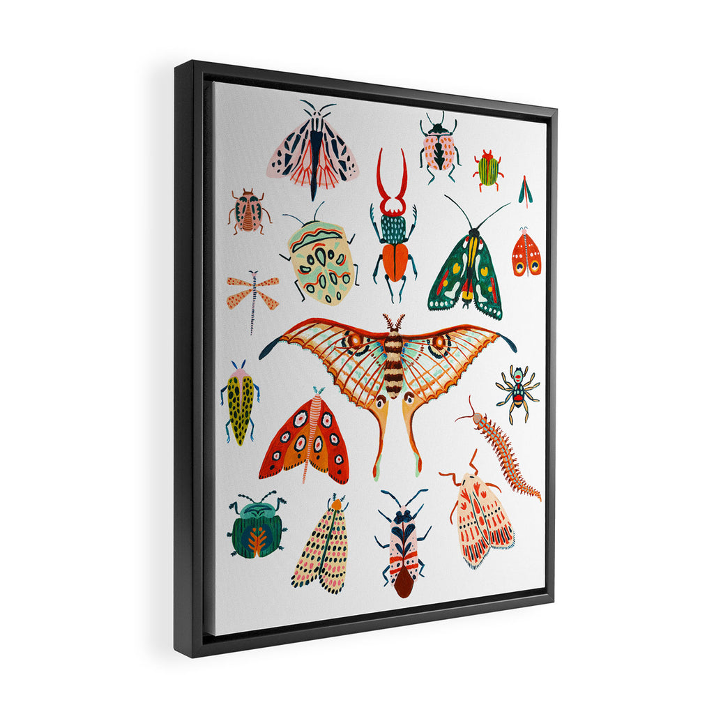 Beetles of the World Framed Canvas Print Gallery Image 2