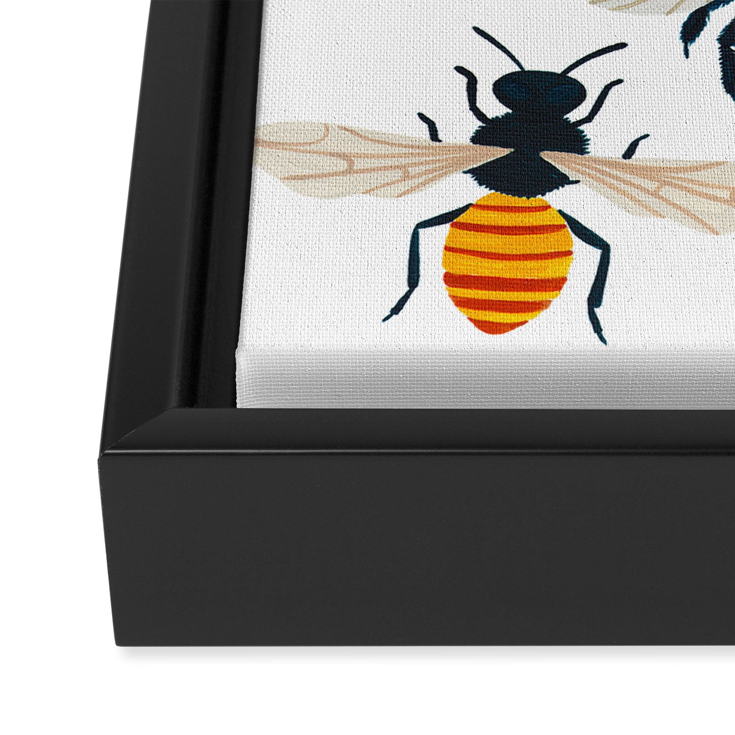 British Bees Framed Canvas Print Gallery Image 3