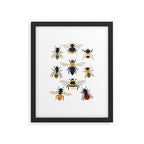 British Bees Framed Art Print Gallery Image 5