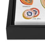 Fruit Collection Framed Canvas Print Gallery Image 3