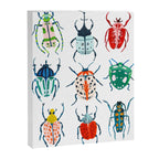 Garden Beetles Canvas Print Gallery Image 6