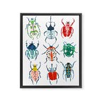Garden Beetles Framed Canvas Print Gallery Image 6