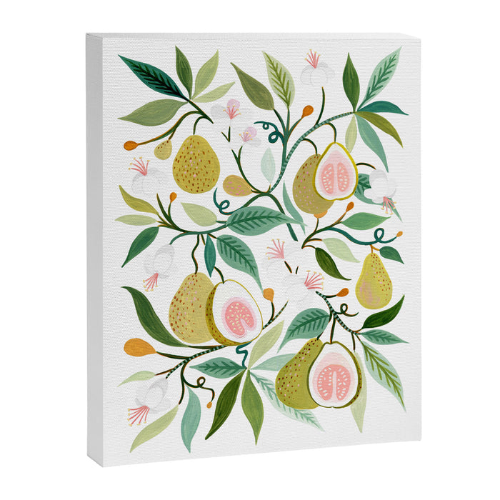 Guava Canvas Print Gallery Image 1