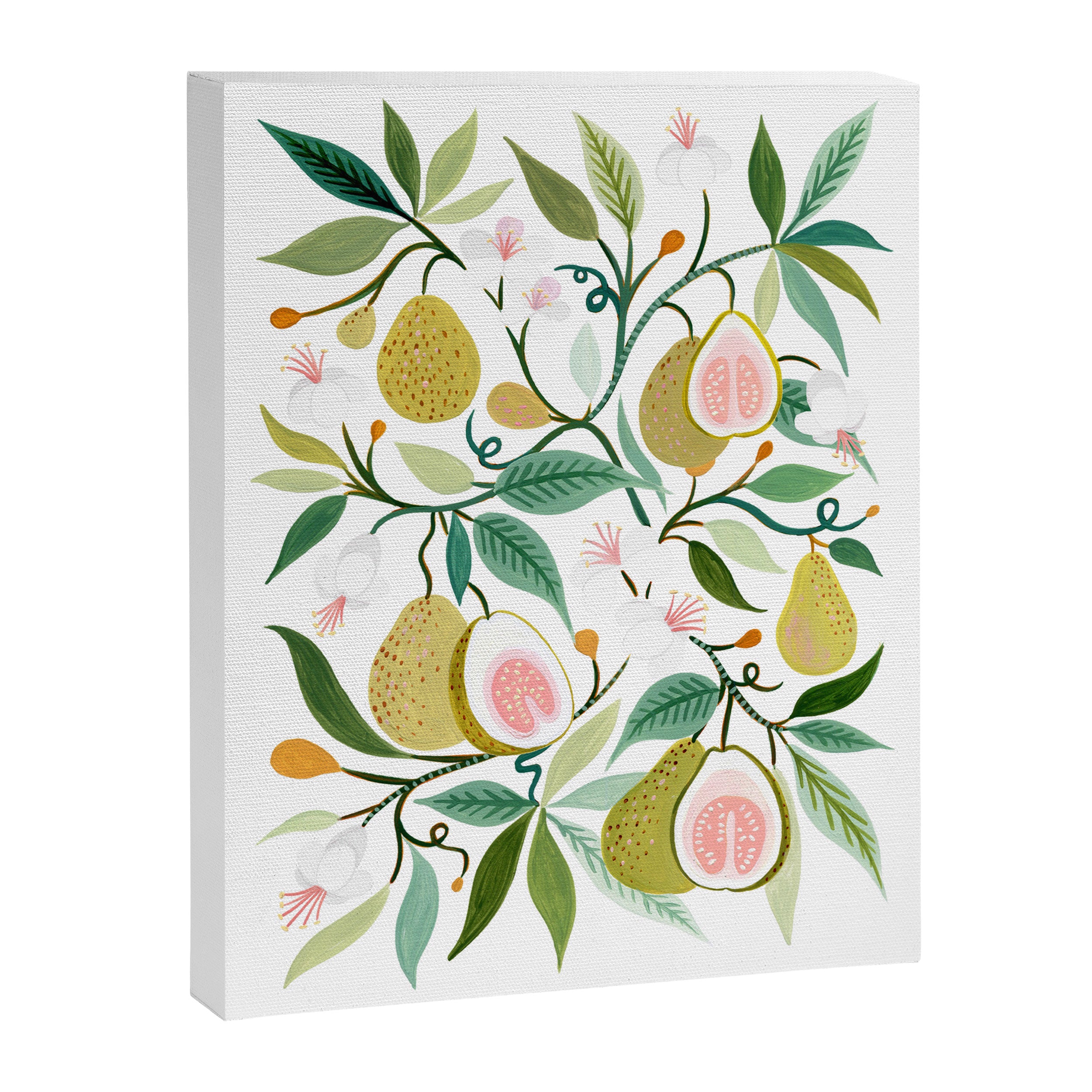 Guava Canvas Print Gallery Image 6