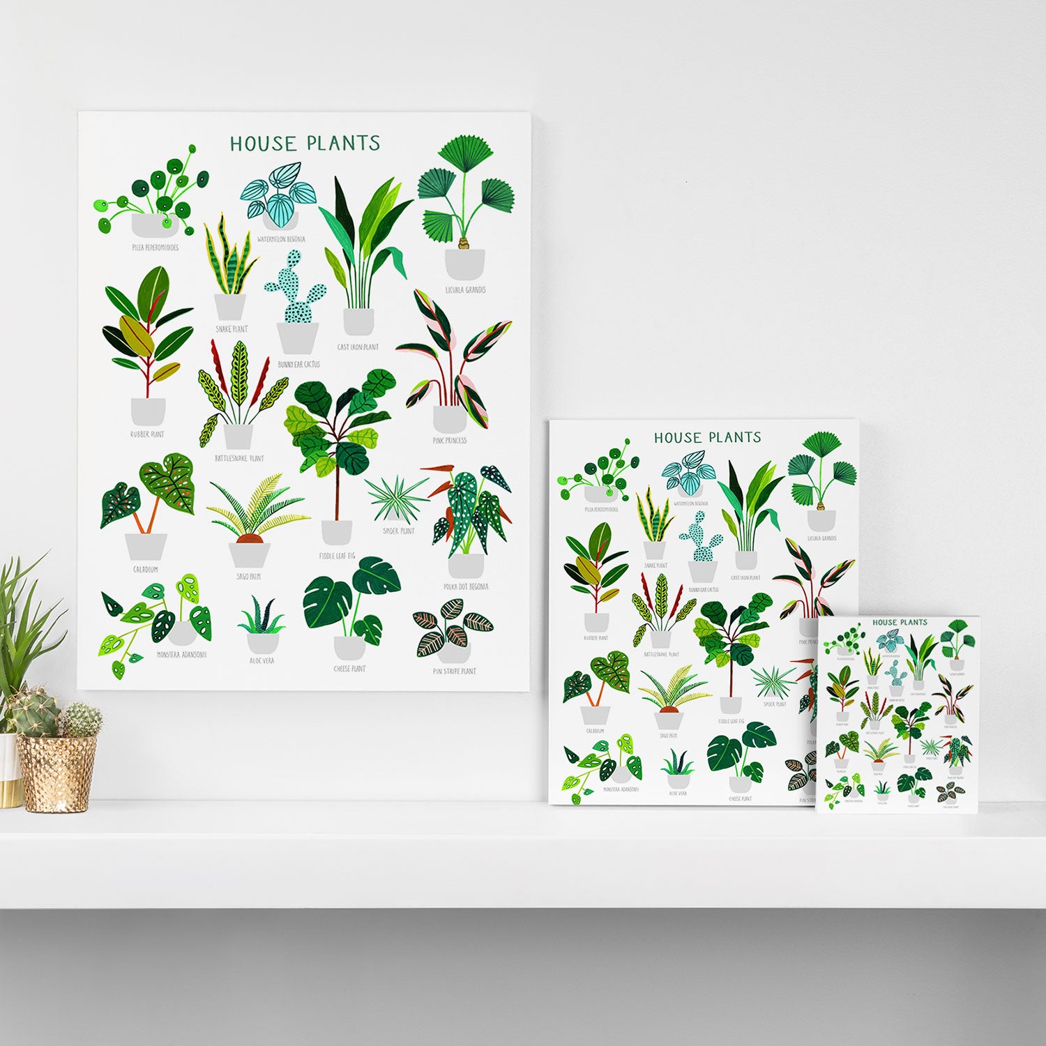 House Plants  Canvas Print Gallery Image 3