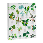 House Plants  Canvas Print Gallery Image 3