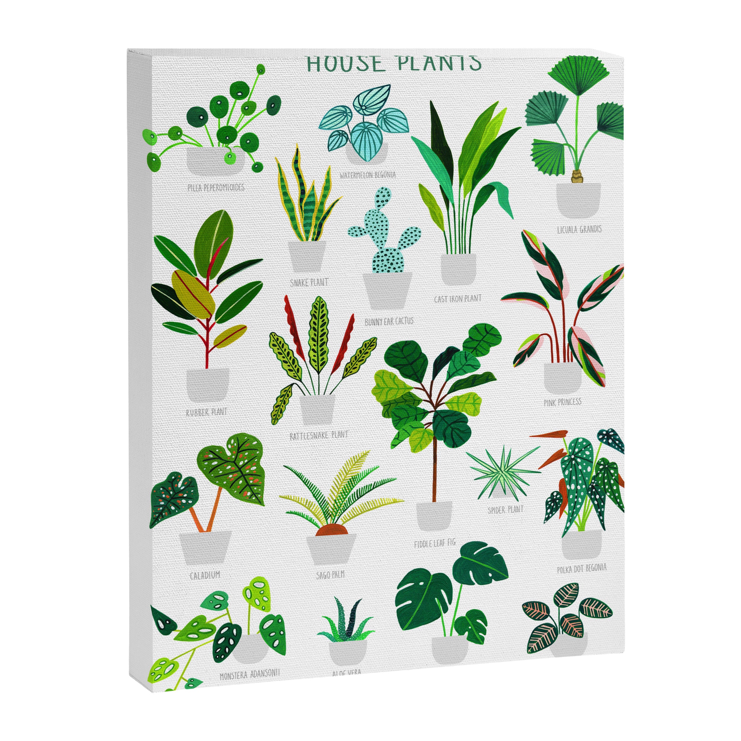 House Plants  Canvas Print Gallery Image 3