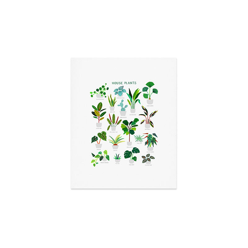 House Plants  Art Print Gallery Image 1