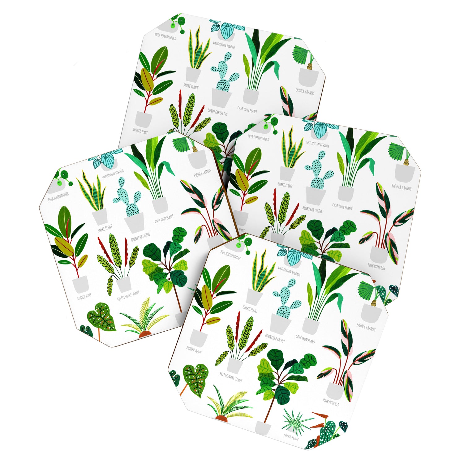 House Plants  Coaster Gallery Image 1