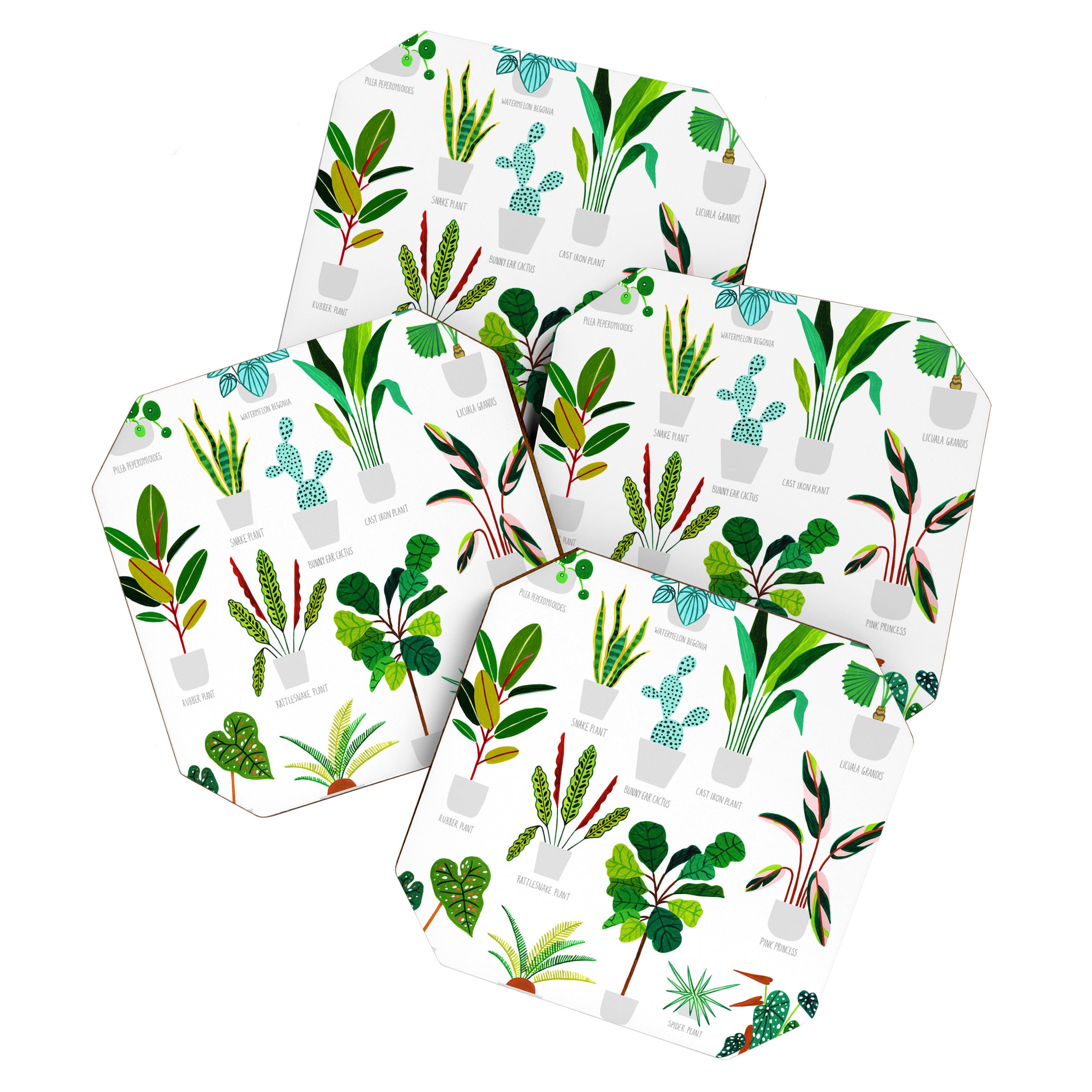 House Plants  Coaster Gallery Image 1